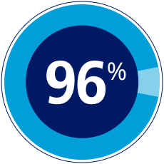 a circle graph showing a quantity of 96%